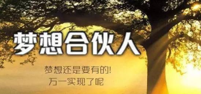 各类项目合伙人