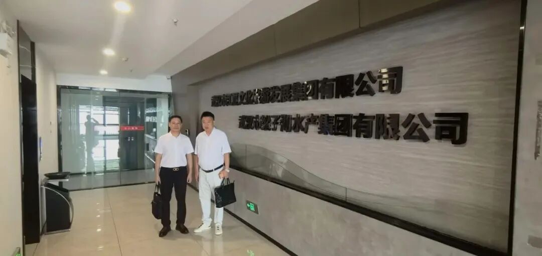 内外联动拓新局，中韩交流 + 全域项目多点开花｜集团本周动态速览